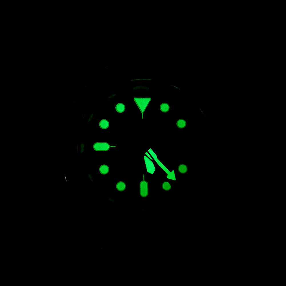 New Abalone Diving Men's Mecha - Luxury Watch In Japan recensione e prezzo